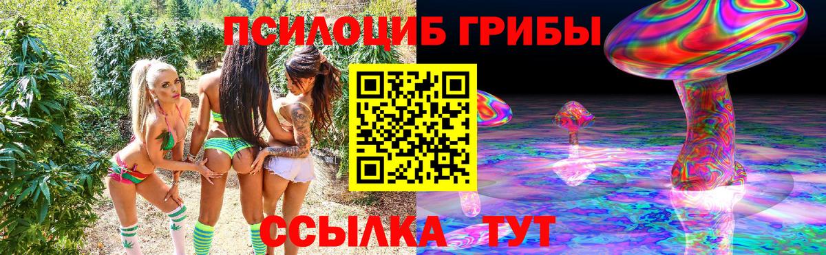 Псилоцибиновые грибы Psilocybine cubensis  Вход с VPN  даркнет сайт  Ишим 